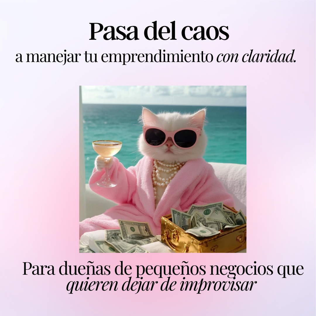 Mi negocio en orden 💼
