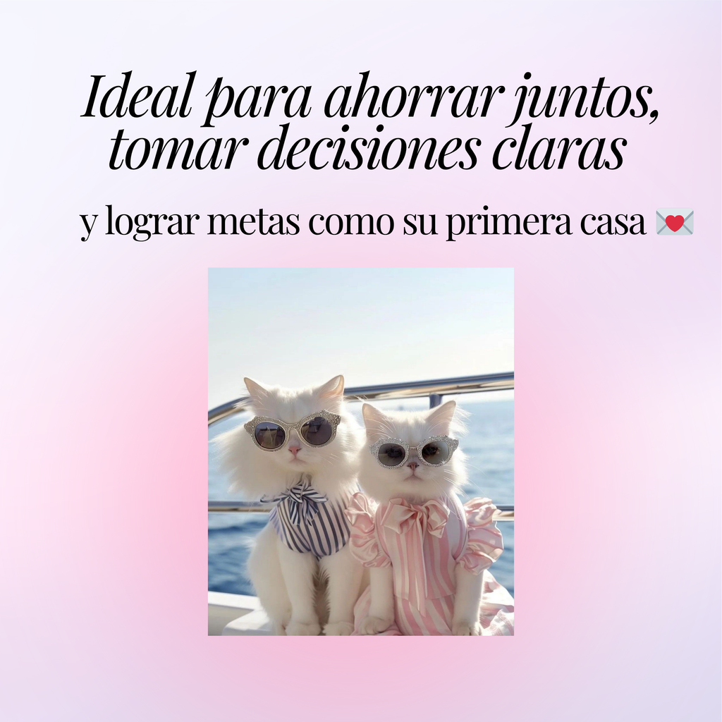 Finanzas en pareja PRO